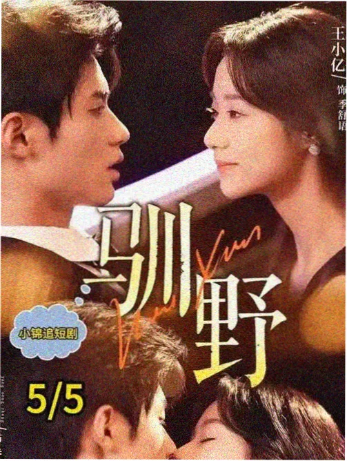6080新视觉影视 人文纪录片山南旧事封面